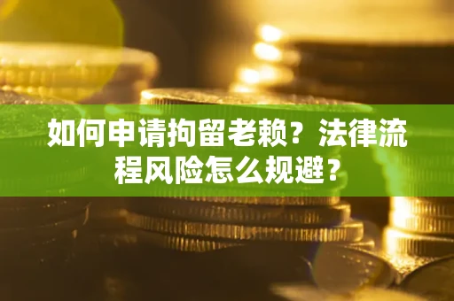 武汉如何申请拘留老赖？法律流程风险怎么规避？