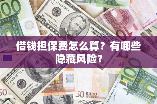 武汉借钱担保费怎么算？有哪些隐藏风险？