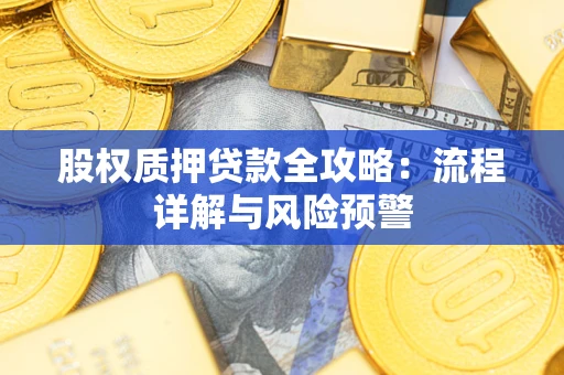 武汉股权质押贷款全攻略：流程详解与风险预警