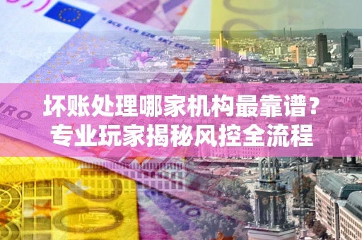 武汉坏账处理哪家机构最靠谱？专业玩家揭秘风控全流程
