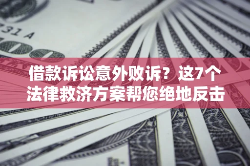 武汉借款诉讼意外败诉？这7个法律救济方案帮您绝地反击！
