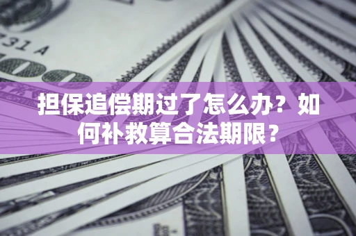 武汉担保追偿期过了怎么办？如何补救算合法期限？