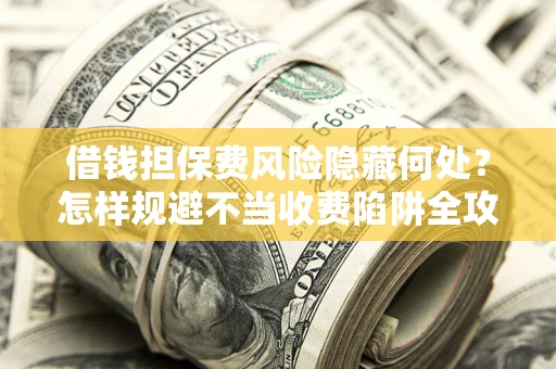 武汉借钱担保费风险隐藏何处？怎样规避不当收费陷阱全攻略！