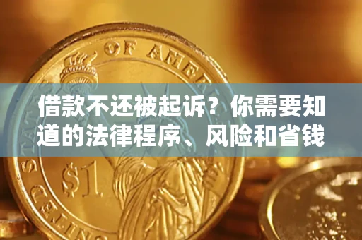 武汉借款不还被起诉？你需要知道的法律程序、风险和省钱技巧