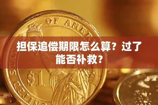 武汉担保追偿期限怎么算？过了能否补救？